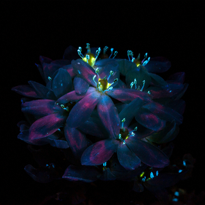 常德电缆厂家用小鲤营销导航
